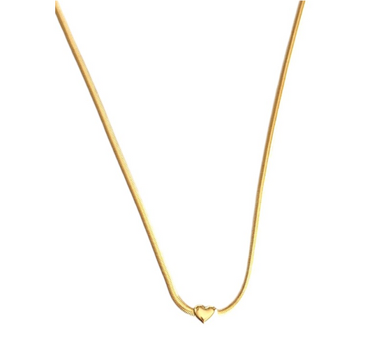 Colar Snake e pingente fixo de coração